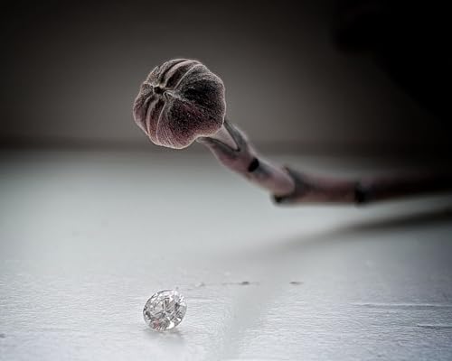 Episode 19 | Why You Can't Find Spring (and where it&rsquo;s actually hiding)