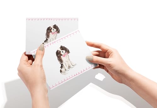 Image of Twigs Paper - Cavalier King Charles Spaniel Dog Note Cards - Set of 12 Blank Cards (5.5 x 4.25 Inch) with 12 Envelopes - 100% EcoFriendly Stationery - Made In USA