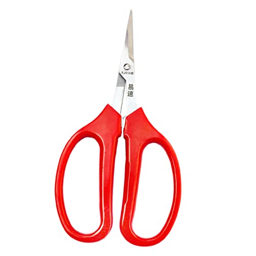 HEMOTON 3 Pièces Ciseaux De Fruits Et Légumes Sécateurs De Jardin Cisaillement De Fleurs Sécateur De Jardin Outil De Fleurs Fourche De Jardin Outil De Composition Acier Inoxydable