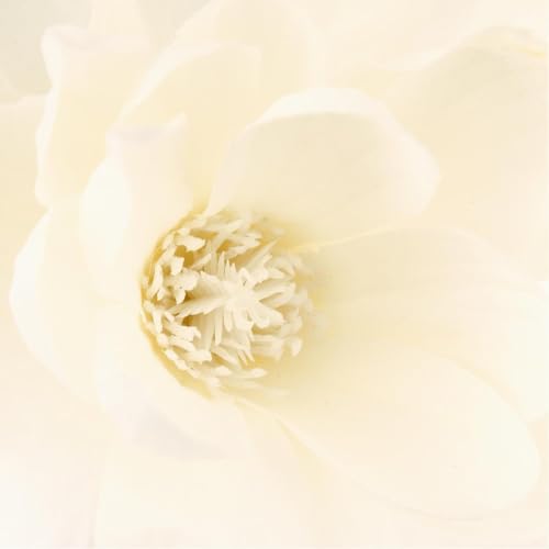 Composition florale avec vase magnolia 73cm blanc pour décoration maison