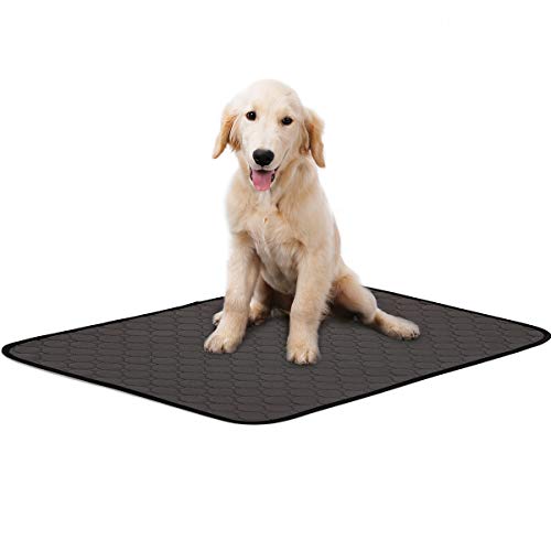 Youth Union Lavable Almohadilla Alfombra para Perros Mascotas Pee Pad, Reutilizables Almohadilla Super Absorbente,para Entrenamiento Mascotas y Necesidades Diarias (L, Gris)