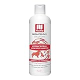 Nootie Medicated Pet Shampoo, Chlorhexidine Dog Shampoo for Itch Relief, Sold in Over 5,000 Vet Clinics & Pet Stores Worldwide- 8oz