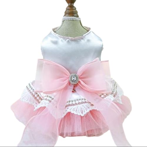 JAAQUCD sN lN^C hbO hX ^ ̎q q  DOt zf[ L n[lX hX ybg p[eB[ ߑ  a  o^Cp (sN {EAS)