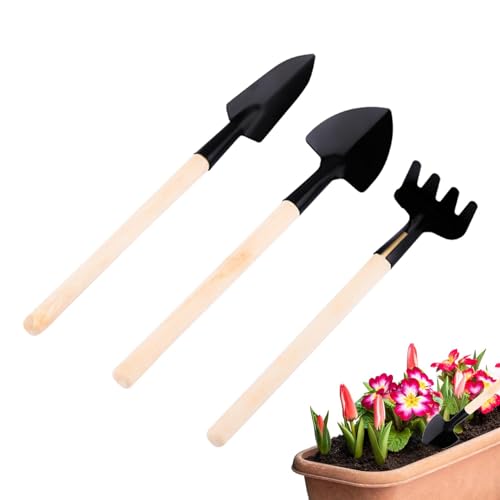 Juego de herramientas de jardín suculentas, pequeño juego de herramientas de jardín, juego de herramientas para bonsái, pala para plantar y aflojar, rastrillo, herramienta de jardín, juego de flores