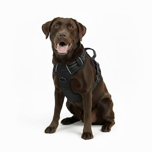 Gavpepy No Pull Dog Harness, Reflective Comfortable Vest Harness with Front & Back Easy Control Handle Adjustable Soft Padded Pet Vest for Small to Large Dogs (Large,Black)