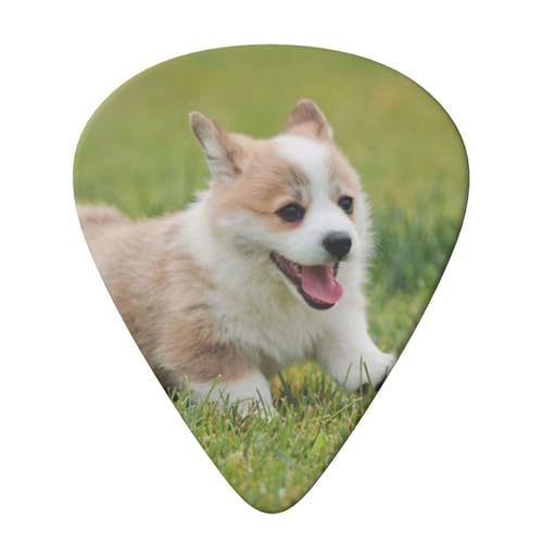 Evanem ギターピック プレクトラム オーガナイザー収納ボックス付き コーギー 子犬 ベースピック エレクトリックウクレレピック アコースティックギター用 0.96mm 6個パック
