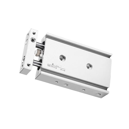 Vérin pneumatique double effet TR25X125S robuste à double tige stable
