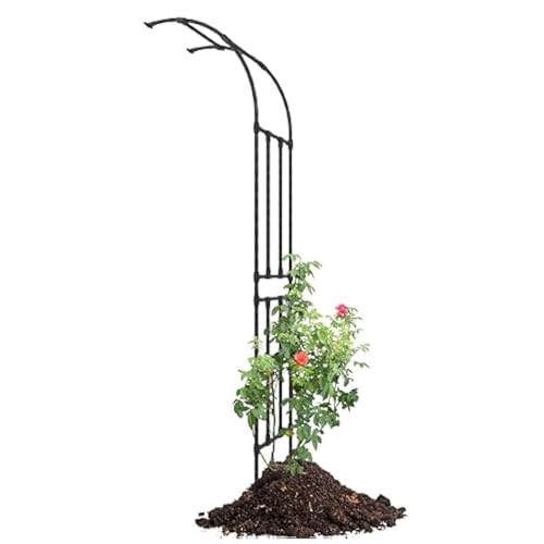 Metalowy łuk ogrodowy połowa twarzy pnącza stojak na róże zewnętrzne 60 x 240 x 50 cm rama z polietylenu do pnączy warzyw i kwiatów czarne wykończenie
