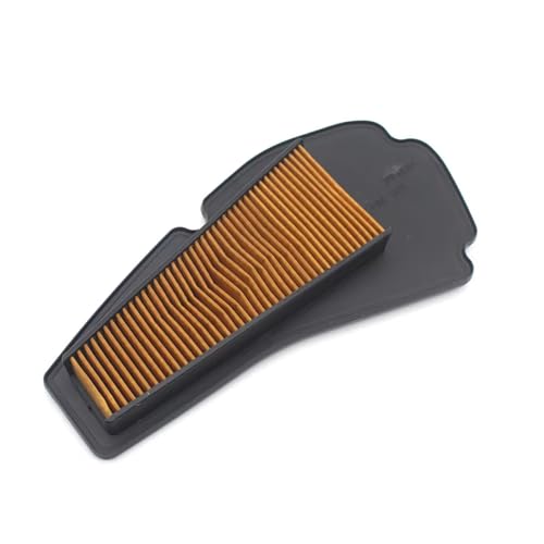 Filtre à air moteur Zoomer Ruckus et Dio AF50 moto