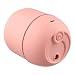 Imagen de Humidificador USB de 220 ml