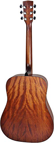Cort AD810 - Back View