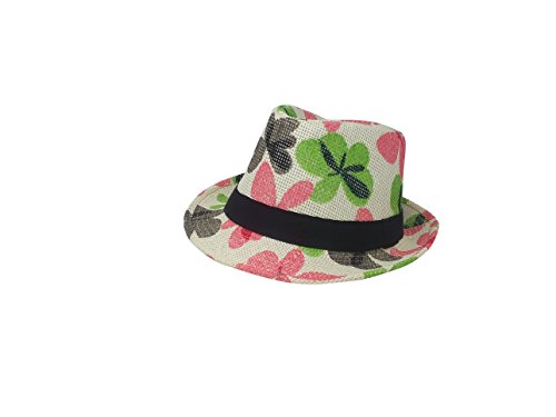 Chachlili 6 Multiple Style Full Color Prints Fedora Hats And Styles Random Assortment Beach, Flowers, Hawaii, Lightweight Classic Wholesale Bulk Lot #TOP7