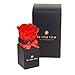 Produktbild LA VITA VIVA Echte Rose zum Valentinstag für Deine Liebsten und romantische Stunden zu Zweit