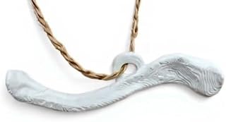 Collarbone Ornament 3 Inch Funny Plastic Ornament, Broken Collarbone Club
