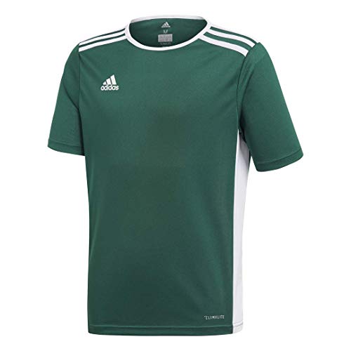 adidas Youth Entrada 18 Jersey, Collegiate Green/White, Medium Amazon
