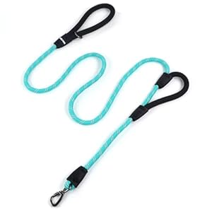 Wolfone Lake Green Laisse pour Chien de 2,1 m avec Double poignée rembourrée, Mousqueton en métal verrouillable, Pinces en Silicone Durable, Corde réfléchissante, Laisse résistante pour Chiens de