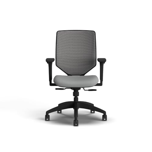 Image of HON Solve Office Chair, Ergonomic Office Chair Mesh Back Support, Adjustable Lumbar Support, Height Adjustable Arms, Black Frame, Frost