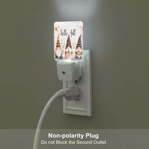 Image of Fall Thanksgiving Gnome LED Plug-in Nightlights 2-Pack for Corridors