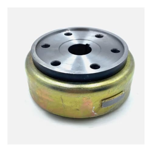 Rotor de volant magnétique et stator haute résistance Linhai 300