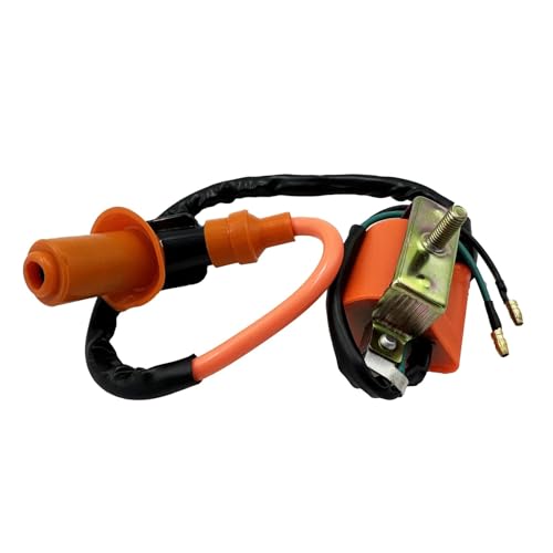 Bobina de encendido compatible con ciclomotor, ATV 110cc y Quad