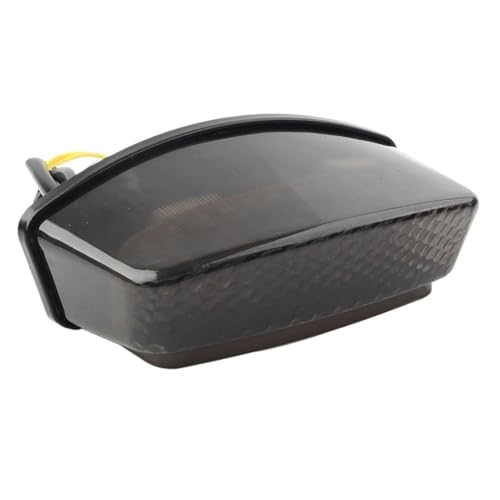 Feu arrière LED de fumée moto pour rouler de nuit en Monster 900 1000