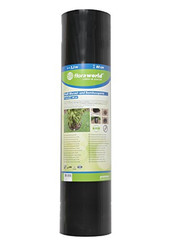 Raíz Y Barrara De Bambú 32X08 Con Tornillo En Oferta Floraworld 011258 Profesional De De Raíces Y Bambú Ranura Para Premium, Negro, 320 X 0,2 X 80 Cm