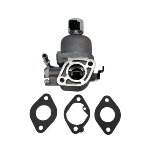 Carburateur 407577 699807 pour moteur thermique tondeuse 20 CV