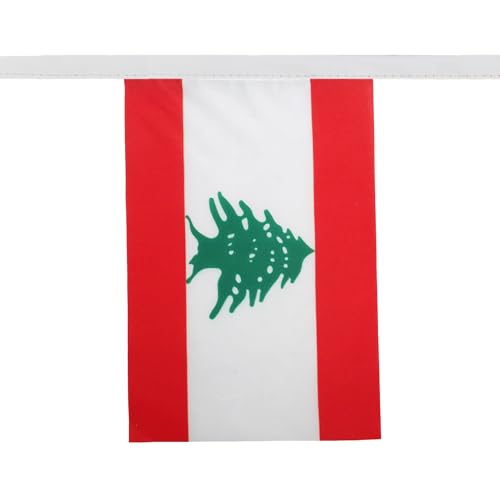 Image of AZ FLAG Lebanon 6 meters BUNTING Flag 20 flags 9'' x 6'' - Lebanese STRING flags 15 x 21 cm