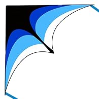 Extremely Easy to Fly. This is a classic triangle kite with bright colors, beginner can handle it well without any problem. All ready to go to fly. 2 Ribbons sewn with the kite, 300ft kite string with handle, simple instructions, you need nothing mor...