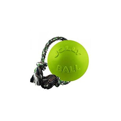 Jolly Pets Romp-n-Roll Rope and Ball Dog Toy, 8 Inches/Large, Apple Green