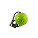 Jolly Pets 8" Romp-n-Roll Dog Toy, Large, Apple