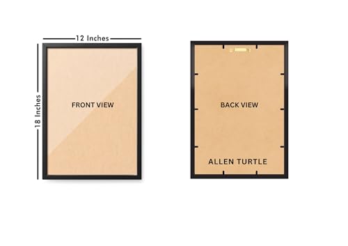 Allen Turtle India Map all capital state wall decor 12x18 Inches Framed Poster FRAM45 Wood;Paper