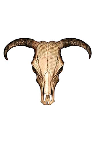 Steer Bull Cow Skull American Southwest Bull Pictures Wall Decor Longhorn Picture Longhorn Wall Decor Bull Picture of a Cow Skull Picture Bull Horns for Wall Cool Huge Large Giant Poster Art 36x54