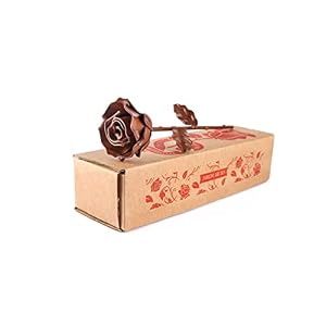Forging Art Bcn® Ewige Rose aus Schmiedeeisen – Handgeschmiedet – Geschenk zum Muttertag, Valentinstag, Hochzeitstag, Eiserne Hochzeit (Braun)