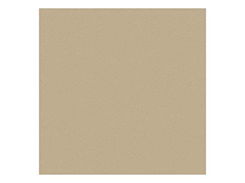 LA WEB DEL COLCHON Polipiel para tapizar 1 Ml. Polipiel (Ancho 1,40 MT.) Color Beige