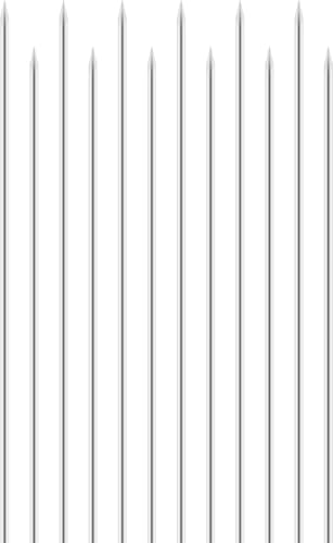 Riazdiw [100{ o[xL[ S Ă Ă  XeX BBQtH[N o[xL[  AEghA Lv ėp\ BBQ Kтɂv Ɩp ƒpp