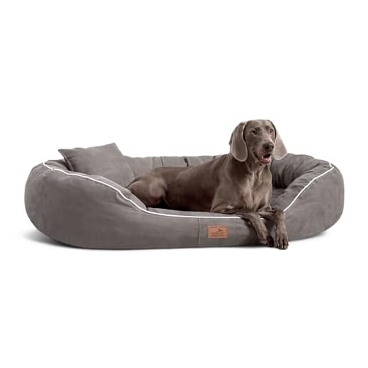 JAMAXX Premium Hundebett Orthopädisch Memory Visco Schaum Waschbar Wendekissen Wasserabweisend/Hundekörbchen Weicher Samtartiger Sofa Stoff Hundekissen Hundekorb PDB2002 (90x70 (M), braun) 9 tierlando® Nonplusultra Marlon orthopädisches Hundebett mit Visco Plus Matratze in Velours! Soft-Lounge! Gr. M L XXL XXXL | 85 cm bis 220 cm (L 85 x 65 cm, 06| Grau)