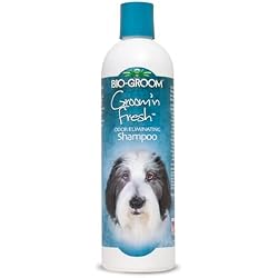 Bio-Groom Groom'n Fresh Dog Shampoo - Odor Eliminating, Dog Bathing Supplies, Puppy Wash, Cat Grooming Supplies, Cruelty-Free, Product Made in USA - 12 fl oz 1-Pack