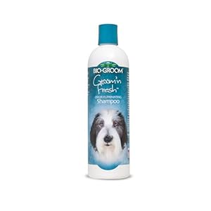 Bio-Groom Groom’n Fresh Dog Shampoo – Odor Eliminating, Dog Bathing Supplies, Puppy Wash, Cat Grooming Supplies, Cruelty-Free, Product Made in USA – 12 fl oz 1-Pack