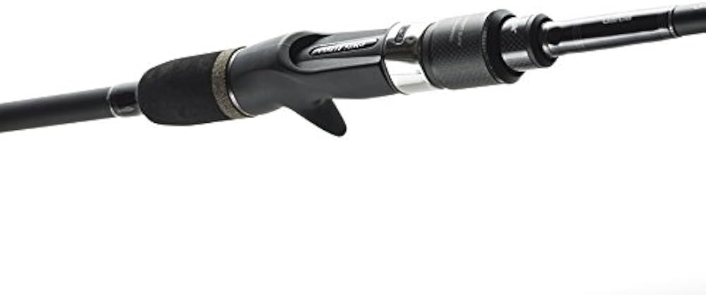 Amazon | アブガルシア(Abu Garcia) ジギング ロッド ベイト