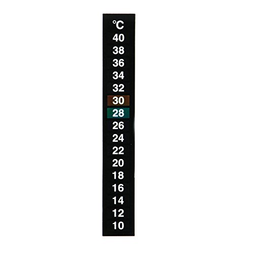 Stick On Thermometer Strip Digital Temperature Display for Aquarium Fish Tank Temperature Adhesive Sticker Display
