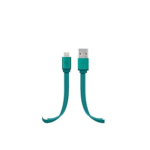Câble Lightning Lifeworks pour alimenter vos appareils à connecteur 8 broches