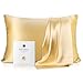 YANIBEST 19 Momme 100% Pure Natural Mulberry Silk Pillowcase for Hair & Facial Beauty Queen Standard Size, 10 Colors White Color Pillow Shams Cover with Hidden Zipper (champagne)