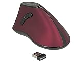 Kompakter Nano USB Empfänger Delock Maus ergonomisch vertikal optisch 5-Tasten, 2,4 GHz Wireless, Funk Maus, Kabellos, mit USB-A Adapter; vorbeugend gegen Mausarm / Tennisarm (RSI Syndrom), 12528, schwarz / rot