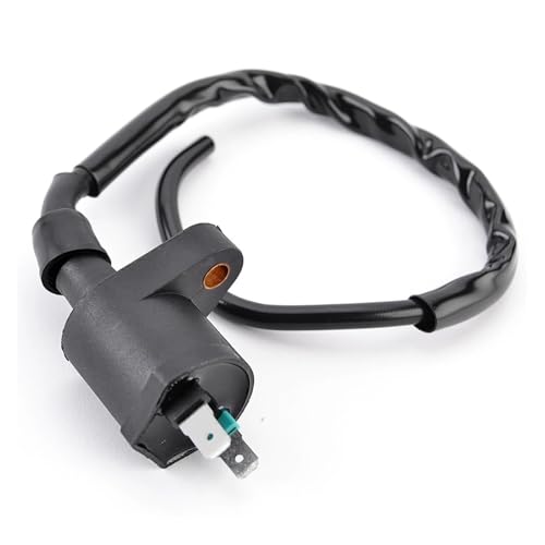 Bobina de encendido con aislamiento térmico para motos NSR50R, SE50P y Elite 50 S