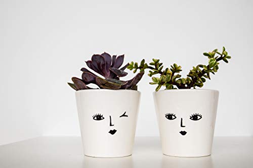 Image of Ivyline Indoor Face Cacti Planter 'Cheeky', Size: H7 x W7 x D7cm, White