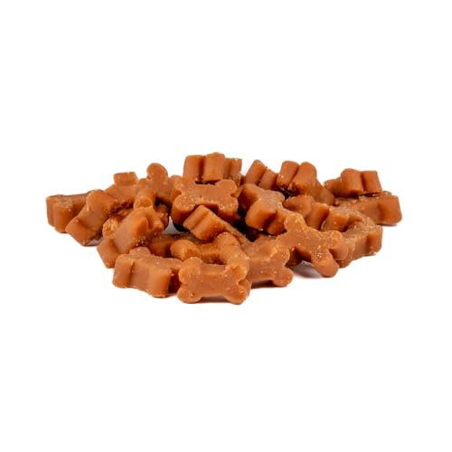 Frigera Semi-Moist Soft Treats Lachs 165g - Weiche Hundeleckerlis, Leckere Belohnung für Training & Zwischendurch, Ohne Zugesetzten Zucker, Hergestellt in Belgien
