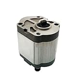 Uso: Petróleo NMHWRHJ Bomba hidráulica CBN-E306 CBN-E314 CBN-E308 CBN-E312 Bomba de Engranajes de Alta presión for Tractores (Color : CBN-E306)