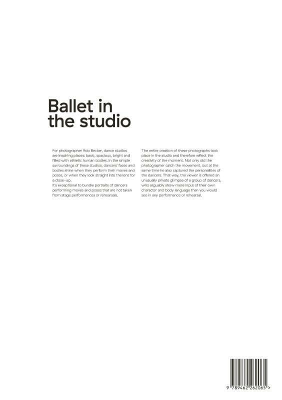Rob Becker Ballet in the Studio tableau deco danse classique - 2