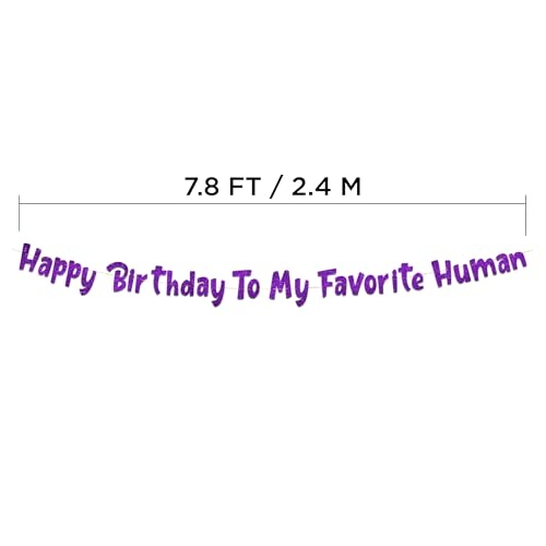 Image of Pre-Strung Happy Birthday To My Favorite Human - Funny Birthday Purple Glitter Banner - Funny Birthday Decorations for Men and Women - Party Supplies and Gifts